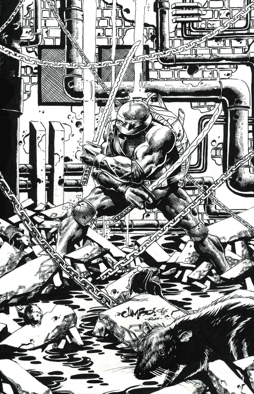 Teenage Mutant Ninja Turtles #11 Jimbo Salgado Exclusive