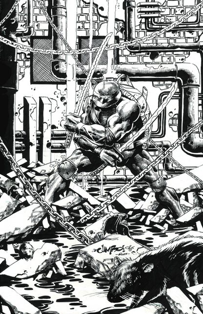 Teenage Mutant Ninja Turtles #11 Jimbo Salgado Exclusive