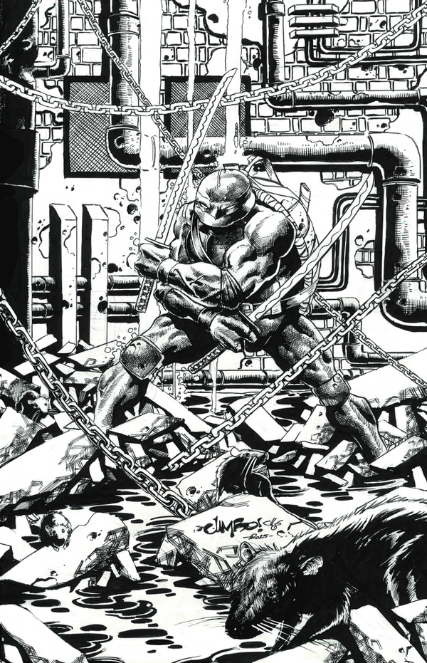 Teenage Mutant Ninja Turtles #11 Jimbo Salgado Exclusive