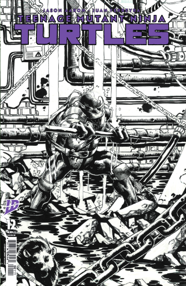 Teenage Mutant Ninja Turtles #12 Jimbo Salgado Exclusive