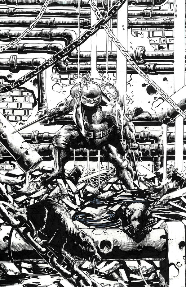 Teenage Mutant Ninja Turtles #9 Jimbo Salgado Exclusive